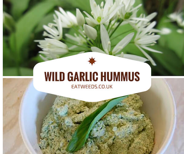 Raw Wild Garlic Hummus