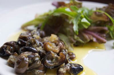 Wild Snail Recipe