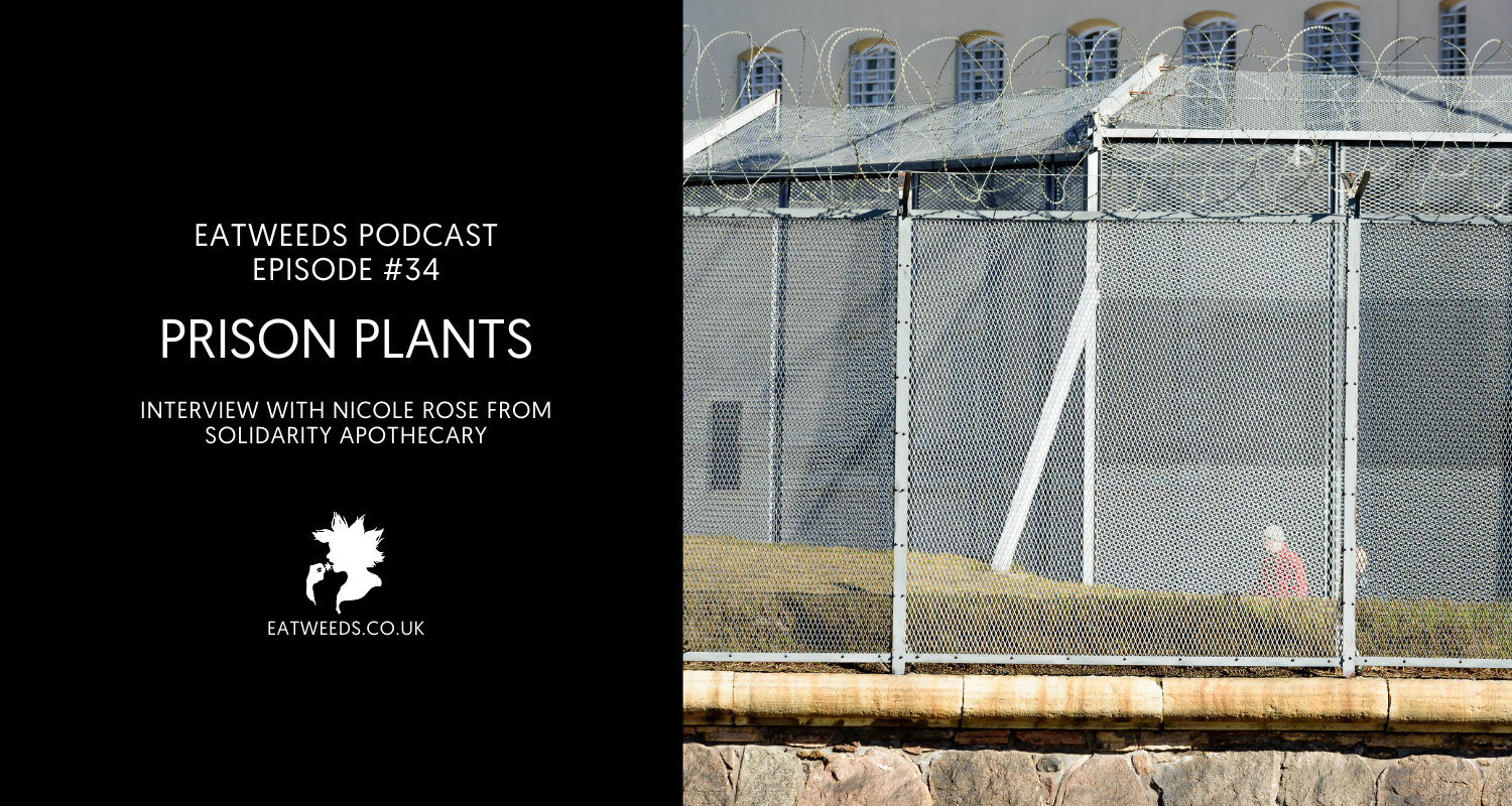 EP34 Prison plants EATWEEDS