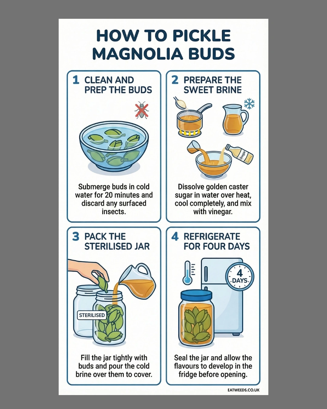 Pickled Magnolia Buds Recipe